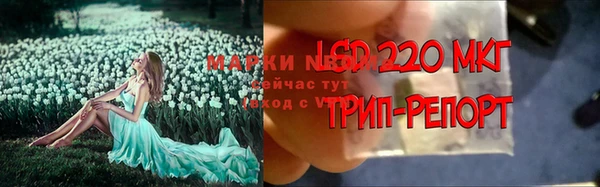 ГАЛЛЮЦИНОГЕННЫЕ ГРИБЫ Алексин