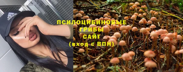 ГАЛЛЮЦИНОГЕННЫЕ ГРИБЫ Алексин