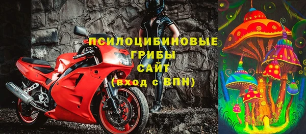 ГАЛЛЮЦИНОГЕННЫЕ ГРИБЫ Алексин